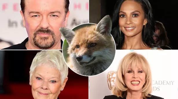 Breaking News: Joanna Lumley joins Ricky Gervais in demanding Labour brings in vital animal cruelty law after…